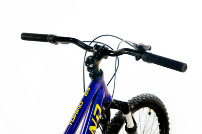 Bicicleta Skyland Torino Aro 20 6V