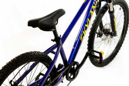 Bicicleta Skyland Torino Aro 20 6V