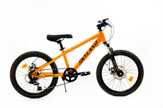 Bicicleta Skyland Torino Aro 20 6V