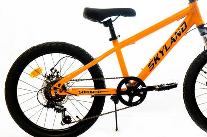 Bicicleta Skyland Torino Aro 20 6V