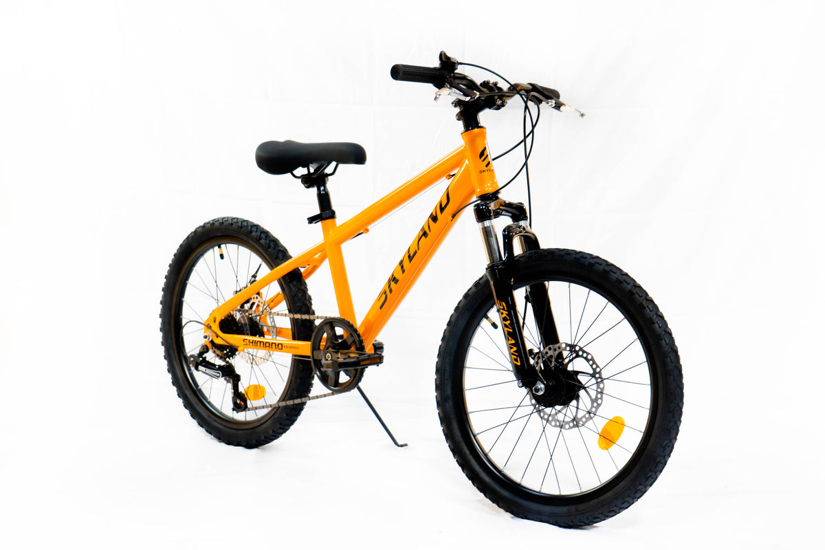 Bicicleta Skyland Torino Aro 20 6V