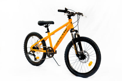 Bicicleta Skyland Torino Aro 20 6V