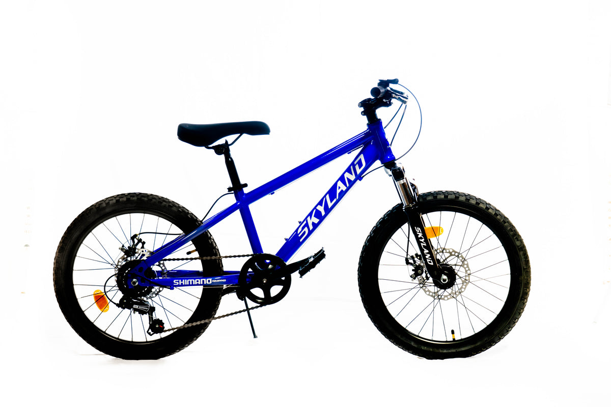 Bicicleta Skyland Torino Aro 20 6V