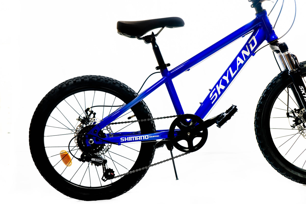 Bicicleta Skyland Torino Aro 20 6V