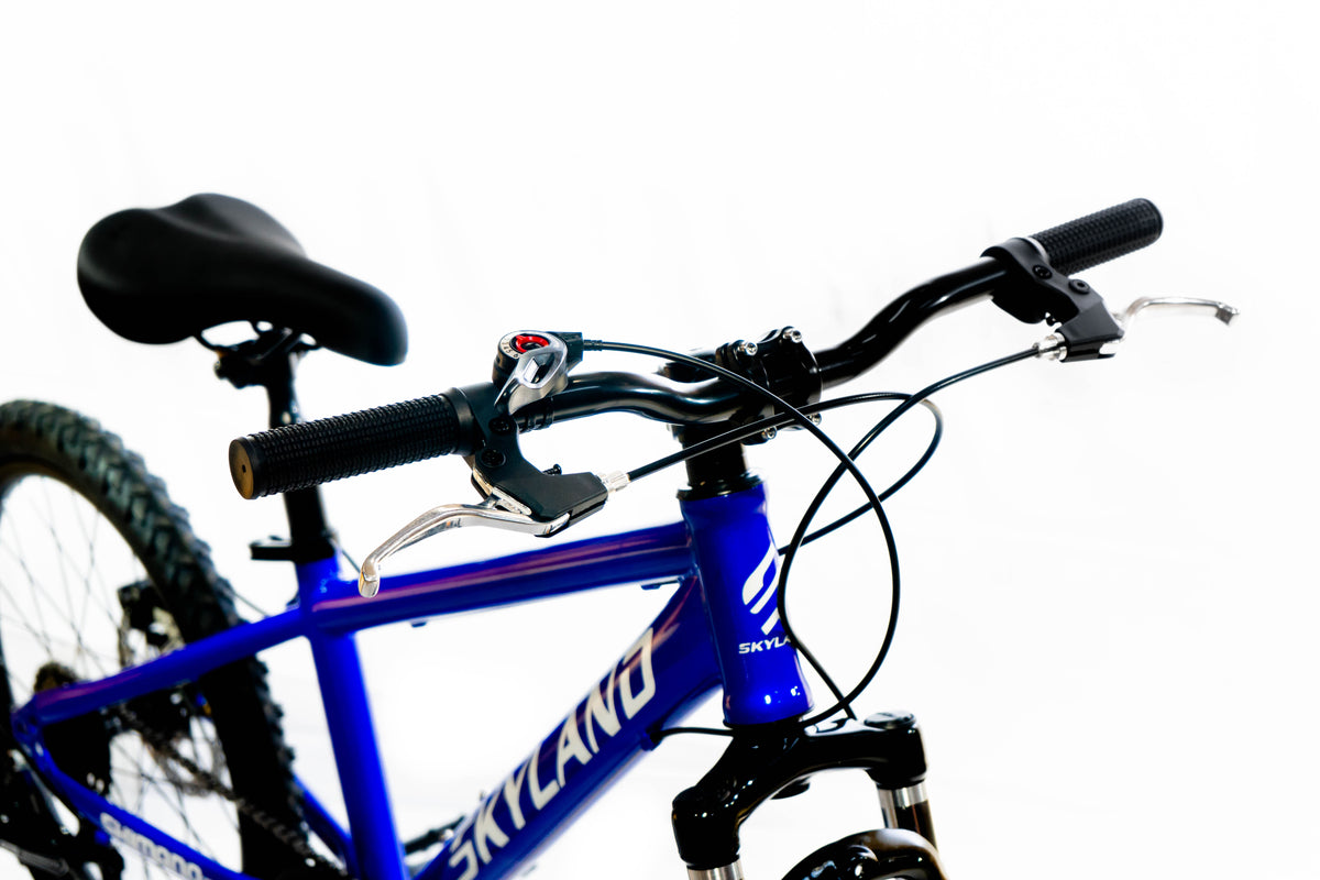 Bicicleta Skyland Torino Aro 20 6V