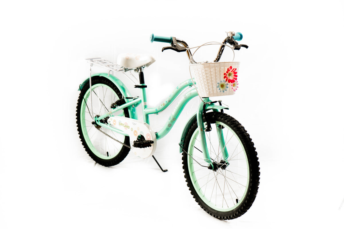 BICICLETA SKYLAND DOMINGA 20"