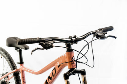 Bicicleta Skyland Donna Aro 29 21v