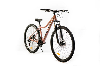 Bicicleta Skyland Donna Aro 29 21v