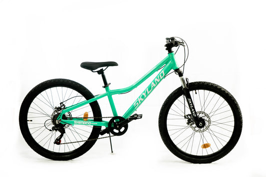 Bicicleta Skyland Niza 20  Turquesa