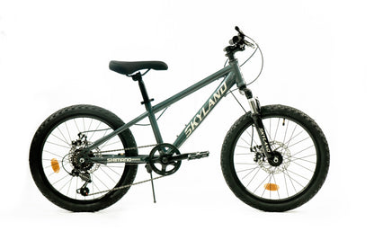 Bicicleta Skyland Torino Aro 20 6V