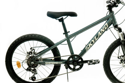 Bicicleta Skyland Torino Aro 20 6V