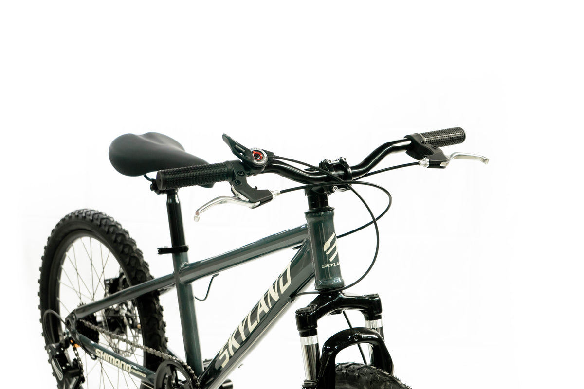 Bicicleta Skyland Torino Aro 20 6V