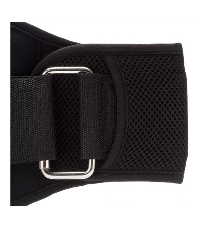Cinturón Everlast Levantamiento Pesas Discos Fit Contoured