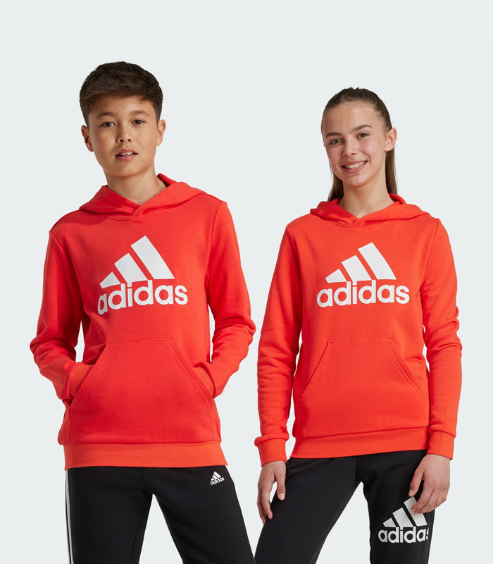 Polerón Niño Adidas  con Capucha Essentials Logo Grande  IX9531