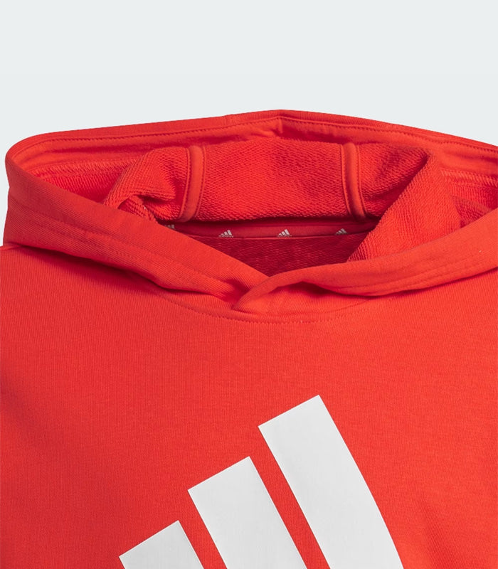 Polerón Niño Adidas  con Capucha Essentials Logo Grande  IX9531