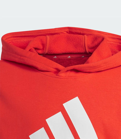 Polerón Niño Adidas  con Capucha Essentials Logo Grande  IX9531
