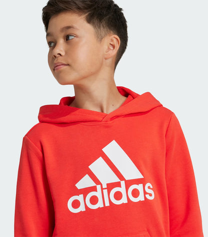 Polerón Niño Adidas  con Capucha Essentials Logo Grande  IX9531