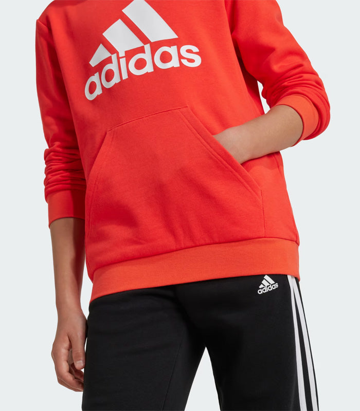 Polerón Niño Adidas  con Capucha Essentials Logo Grande  IX9531