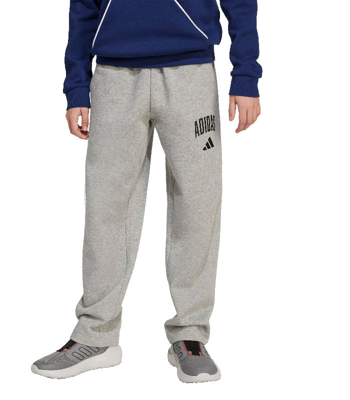 Pantalón Adidas  Seasonals Essentials Tipografía de Inspiración Universitaria  JW2386