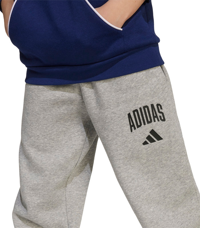Pantalón Adidas  Seasonals Essentials Tipografía de Inspiración Universitaria  JW2386