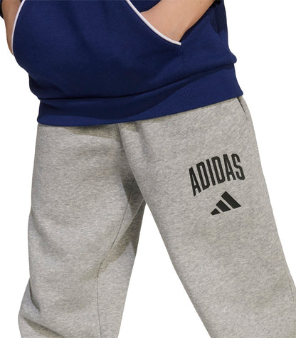 Pantalón Adidas  Seasonals Essentials Tipografía de Inspiración Universitaria  JW2386