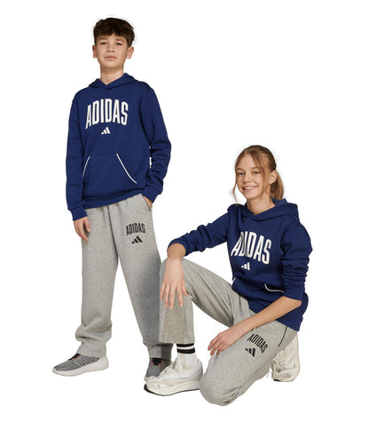 Pantalón Adidas  Seasonals Essentials Tipografía de Inspiración Universitaria  JW2386