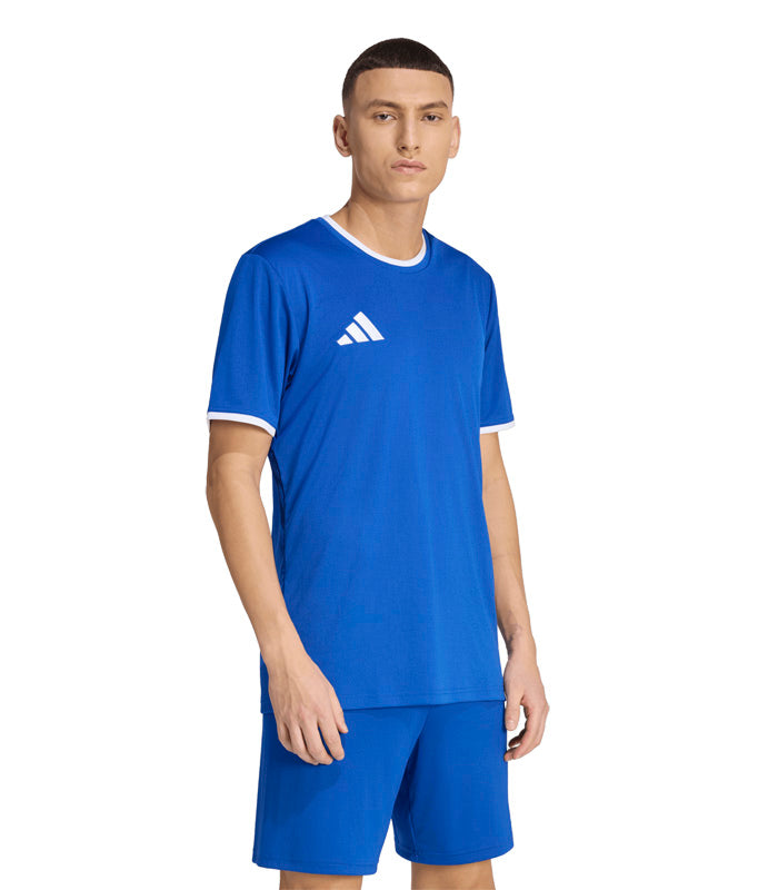 Polera Adidas  Entrada26  JZ2506