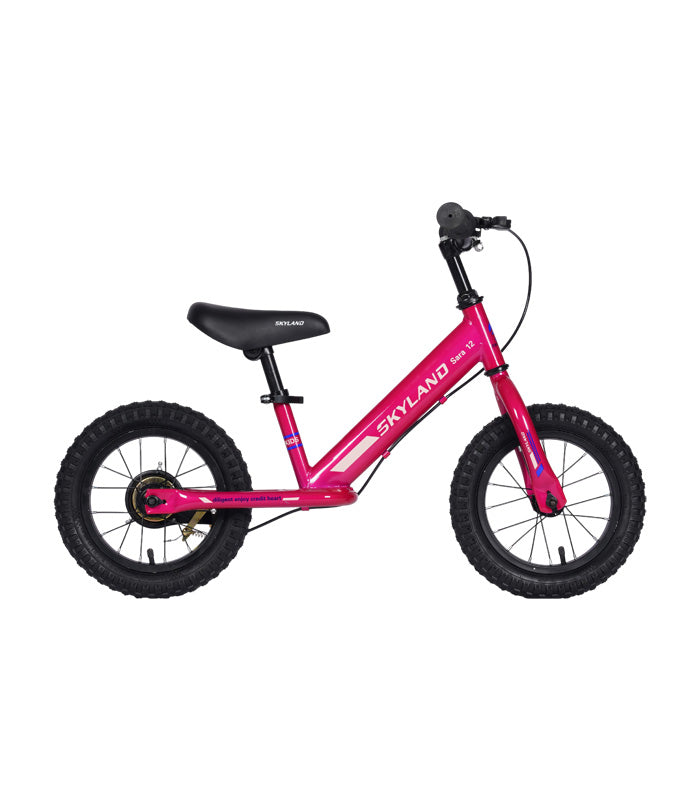 Bicicleta Aprendizaje Skyland Sara Aro 12 Niña