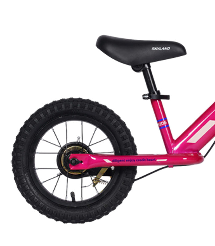 Bicicleta Aprendizaje Skyland Sara Aro 12 Niña
