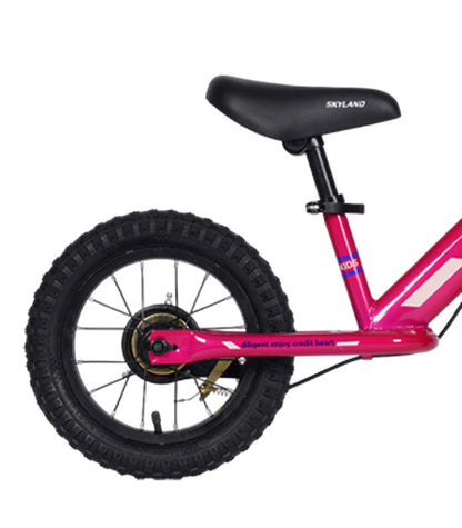 Bicicleta Aprendizaje Skyland Sara Aro 12 Niña