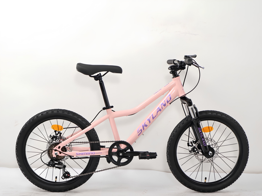 BICICLETA SKYLAND NIZA 20" 6v