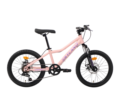 BICICLETA SKYLAND NIZA 20" 6v