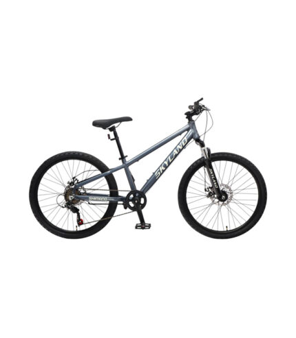 Bicicleta Skyland Torino Aro 24  Gris